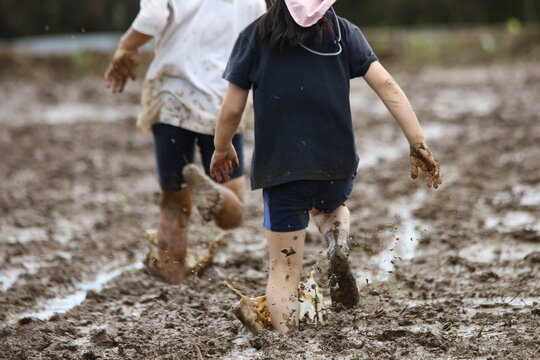 田んぼを走る子供たち