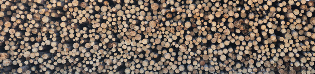 Pile of sawn logs as a background, banner format image.