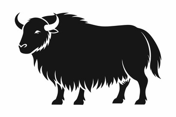 Yak silhouette, Silhouette of domestic yak. Side view. Vector illustration isolated on white background, Domestic Yak Silhouette Vector Illustration.
