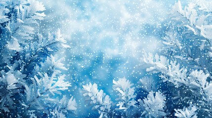 Frosted Branches against a Blue Winter Sky