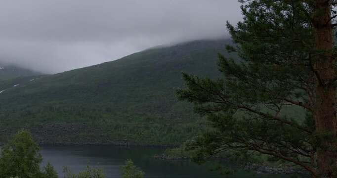 Summer in Norway. Beautiful valley Innerdalen, lake Innerdalsvatna and mountain Innerdalst&aring;rnet.