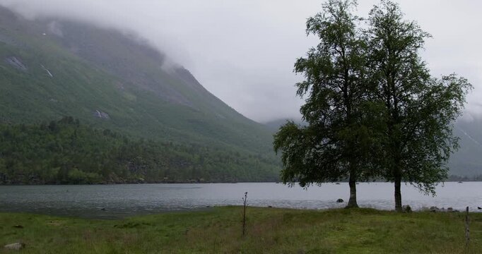 Summer in Norway. Beautiful valley Innerdalen, lake Innerdalsvatna and mountain Innerdalst&aring;rnet.
