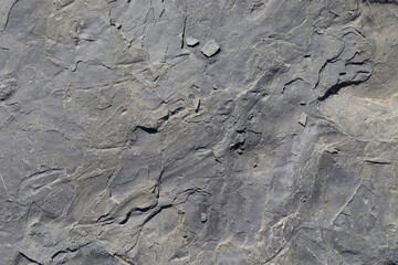 Sea-worn stone texture on a wild coastal beach.