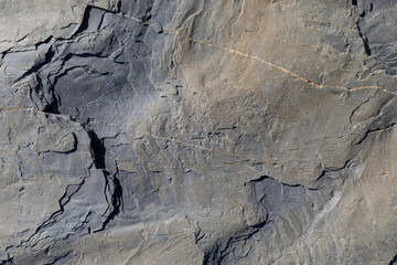 Sea-worn stone texture on a wild coastal beach.
