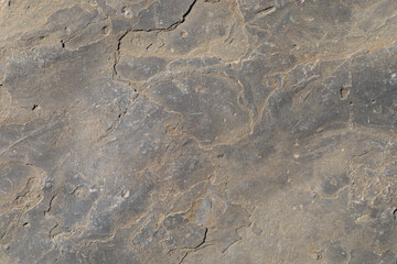 Sea-worn stone texture on a wild coastal beach.