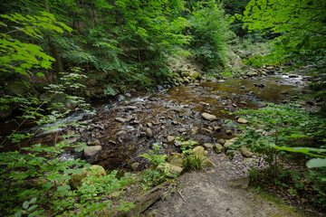 Sommerlicher Wanderweg vom Ilsetal nach Plessenburg im Harz