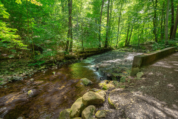 Fototapeta premium Sommerlicher Wanderweg mit Brücke vom Ilsetal nach Plessenburg im Harz
