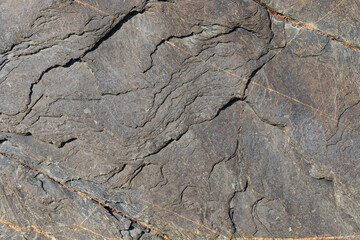 Sea-worn stone texture on a wild coastal beach.