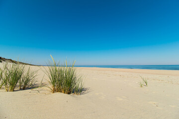 Sandy beach on the Baltic Sea in Piaski on the Vistula Spit. Summer morning with a sunny clear blue sky. View towards Krynica Morska