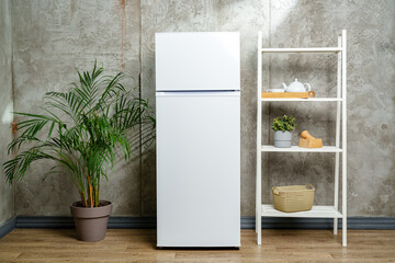 White Refrigerator Against Concrete Wall