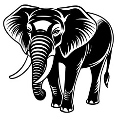 elephant Vector