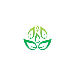 leaf icon