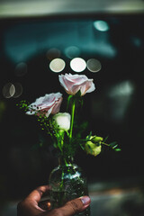  also brings an intense lemon scent that Michelangelo roses makes your garden more passionate than...