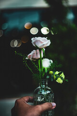 famous for their strong lemon scent. Michelangelo roses are great for adding to bouquets.The...
