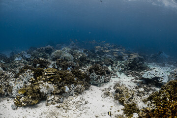 Nature photos at Koh Racha in Thailand, the water is very clear.