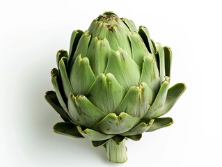 Fototapeta premium Deep Green Artichoke at Golden Mean, Rendered with Crisp Clarity, Contrasts Beautifully with White Background, Compelling Composition Emphasizes Freshness and Quality, Ideal for Food Photography