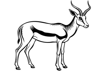 Springbok Silhouette, Springbok icon vector illustration
