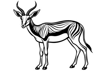 Springbok Silhouette, Springbok icon vector illustration