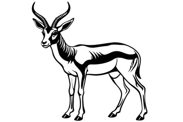 Springbok Silhouette, Springbok icon vector illustration