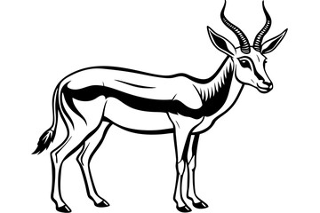 Springbok Silhouette, Springbok icon vector illustration