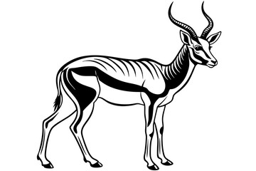Springbok Silhouette, Springbok icon vector illustration