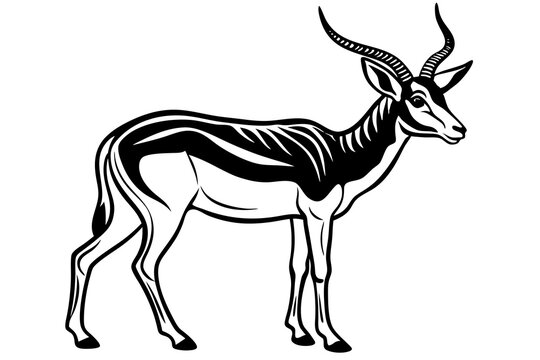 Springbok Silhouette, Springbok icon vector illustration
