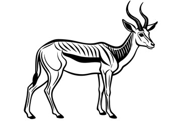 Springbok Silhouette, Springbok icon vector illustration