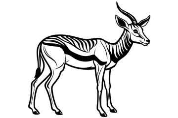 Springbok Silhouette, Springbok icon vector illustration