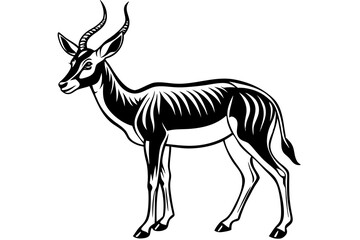 Springbok Silhouette, Springbok icon vector illustration