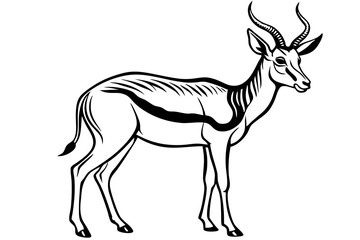 Springbok Silhouette, Springbok icon vector illustration