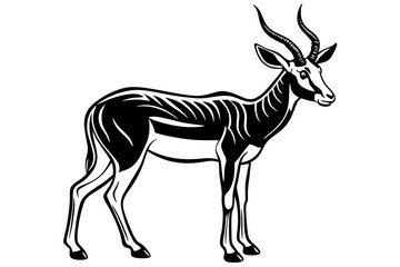 Springbok Silhouette, Springbok icon vector illustration