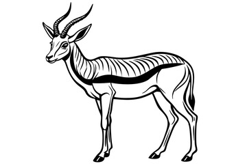 Springbok Silhouette, Springbok icon vector illustration