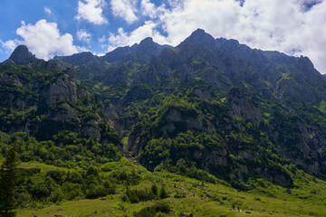 Mountain landscape in the summer