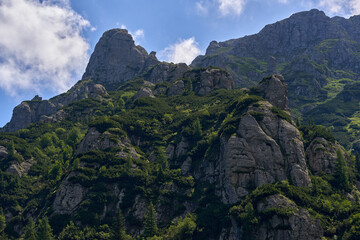 Mountain landscape in the summer