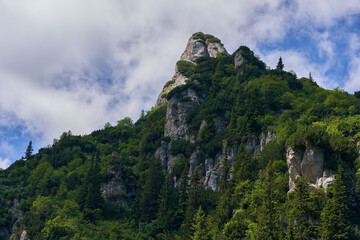 Mountain landscape in the summer