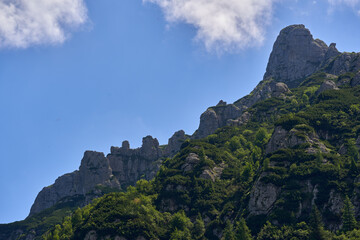Mountain landscape in the summer