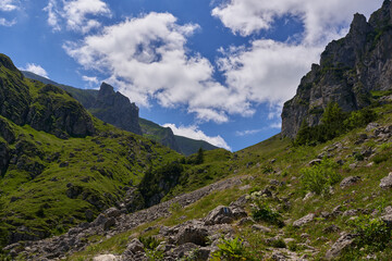 Mountain landscape in the summer