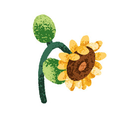 Sunflower, farm field plant. Floral agriculture crop, sun flower with head, yellow petals, bent stalk and leaves. Natural summer culture. Flat vector illustration isolated on white background