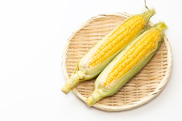 白背景に新鮮なトウモロコシ
