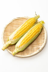 白背景に新鮮なトウモロコシ