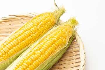白背景に新鮮なトウモロコシ