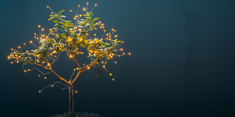 A small tree decorated with hanging firefly lights on dark background