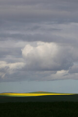 Obraz premium field under blue sky