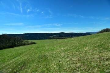 A view of a green meadow in the background of a blue sky and the edge of the forest