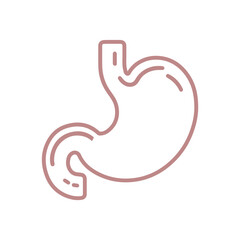 Obraz premium Stomach vector line icon flat design