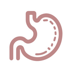 Stomach vector line icon flat design