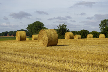 bales of hay
