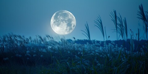 Fototapeta premium Full Moon Shining Serene Mountain Landscape Silver Grass