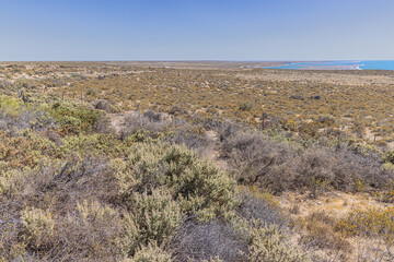 The arid coastline with the laguna at Punta Cantor the most eastern point of the Valdes peninsula