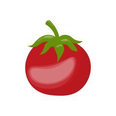 Vector single element of ripe tomato in hand drawn style. Organic food. Stock isolated image on a white background. Element for design